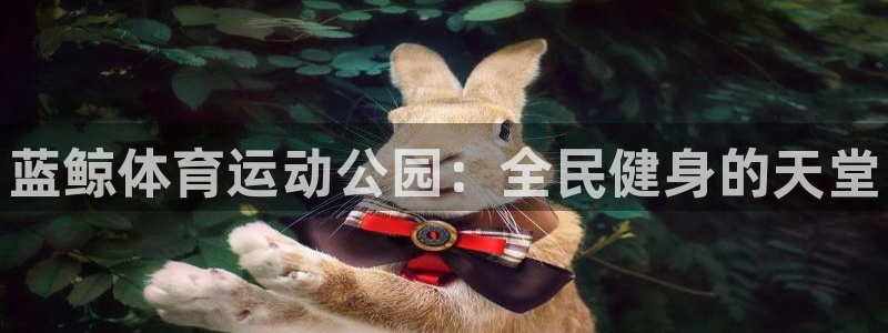 3377体育官网下载招商电话地址查询：蓝鲸体育运动公