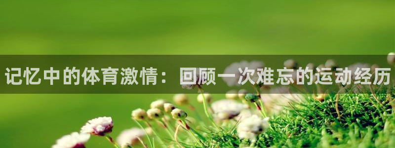 3377体育官方正版app神州：记忆中的体育激情：回