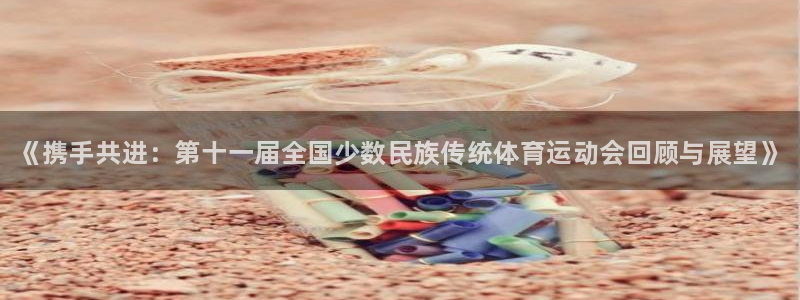 3377体育官方正版app娱乐：《携手共进：第十一届