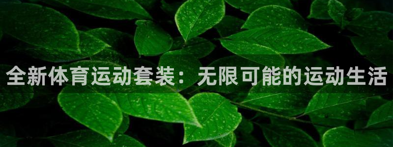 3377体育官方正版app神州