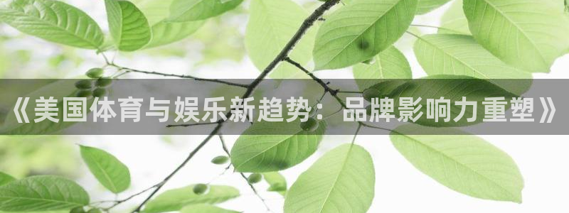 3377体育官方正版app官方：《美国体育与娱乐新趋