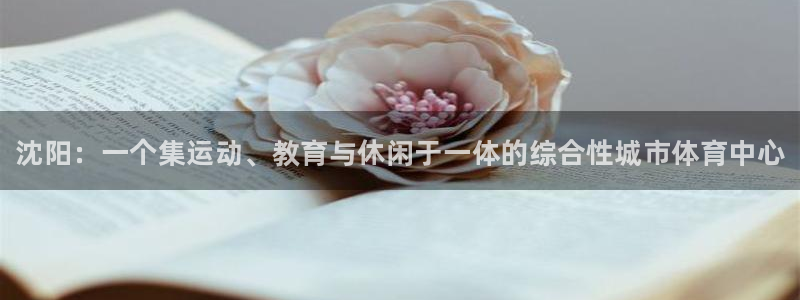 3377体育官方正版app娱乐首页官网下载：沈阳：一