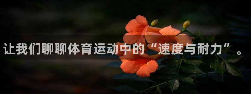 3377体育官网下载招商电话号码是多少：让我们聊聊体