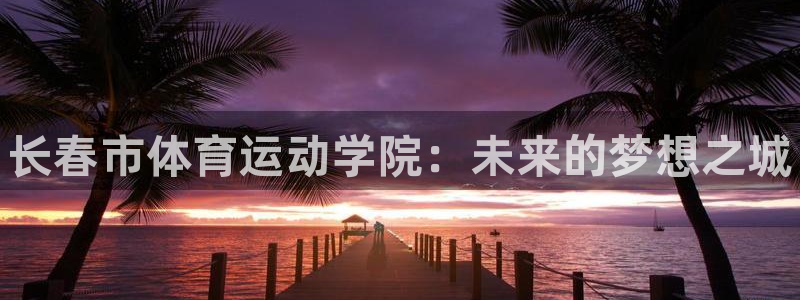德国3377体育官方正版app集团：长春市体育运动学院：未来