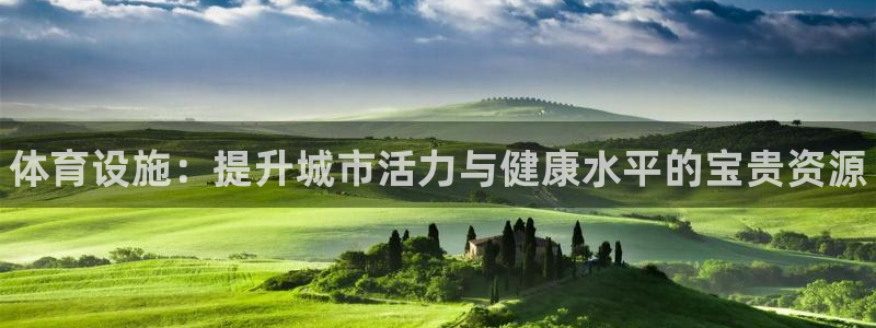 3377体育官网下载平台：体育设施：提升城市活力与健康水平的