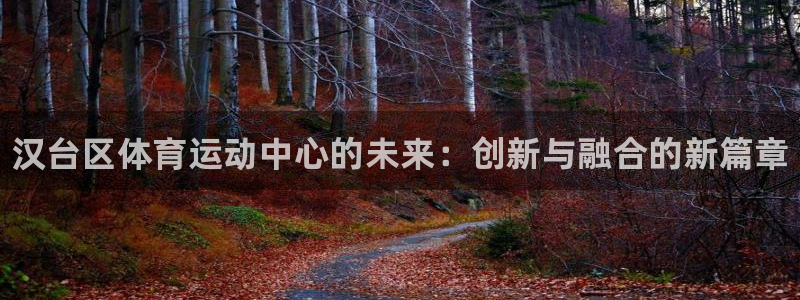 3377体育官方正版app官方：汉台区体育运动中心的