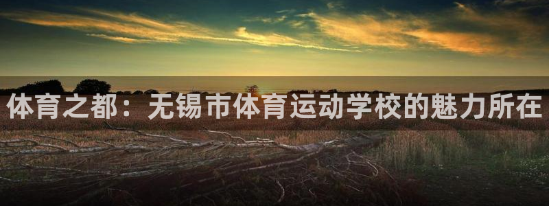 3377体育官网下载招商电话是多少：体育之都：无锡市体育运动