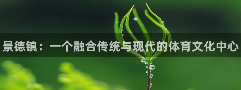 3377体育官网下载：景德镇：一个融合传统与现代的体