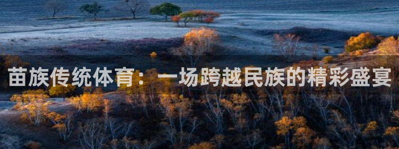 3377体育官方正版app新能源：苗族传统体育：一场