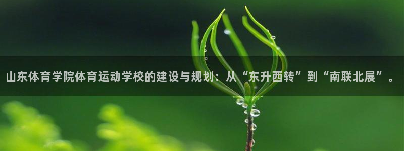 3377体育官方正版app集团logo：山东体育学院