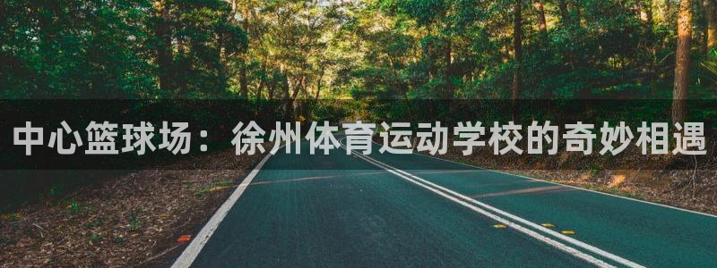 3377体育官方正版app集团E.ON：中心篮球场：