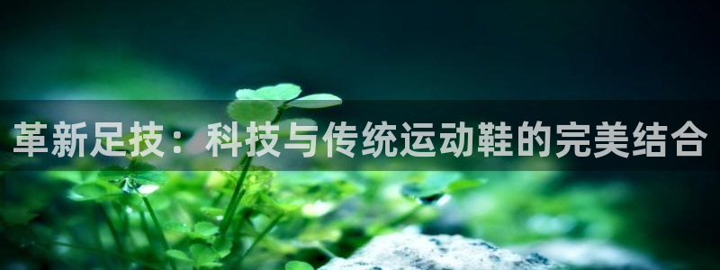 海南3377体育官网下载发展怎么样：革新足技：科技与