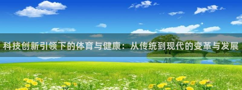 3377体育官方正版app集团简介：科技创新引领下的