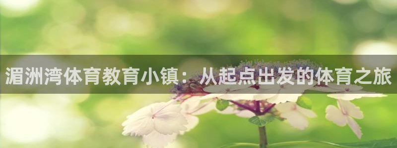 3377体育官网下载招商电话是多少号码：湄洲湾体育教