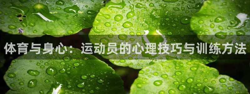 3377体育官网下载招商电话号码：体育与身心：运动员