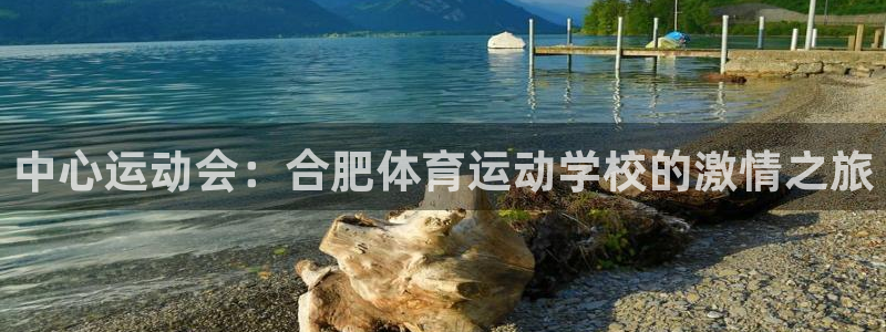3377体育官方正版app娱乐是那个系列的台子：中心