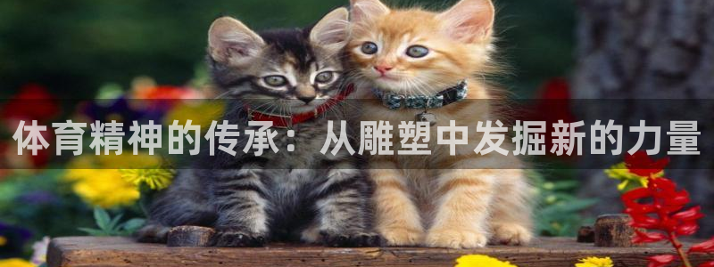 3377体育官网下载招商电话是多少号码：体育精神的传