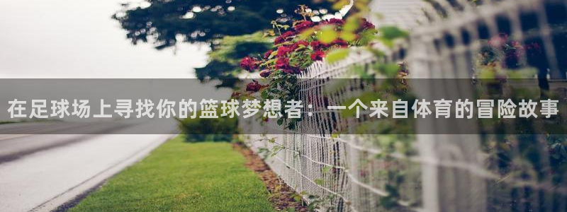 3377体育官网下载：在足球场上寻找你的篮球梦想者：