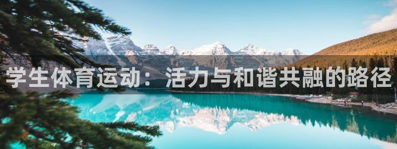 3377体育官网下载平台：学生体育运动：活力与和谐共