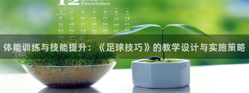 海南3377体育官网下载发展怎么样：体能训练与技能提升：《足