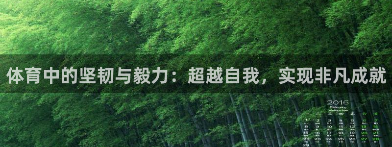 3377体育官网下载平台注册流程图：体育中的坚韧与毅力：超越