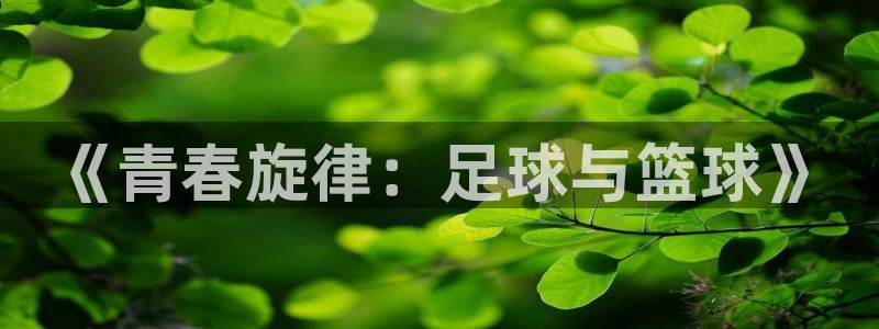 3377体育官方正版app娱乐代理怎么样：《青春旋律：足球与