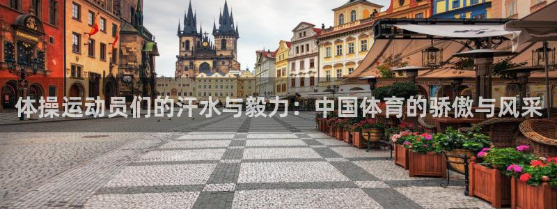 3377体育官网下载平台假的吗是真的吗吗：体操运动员