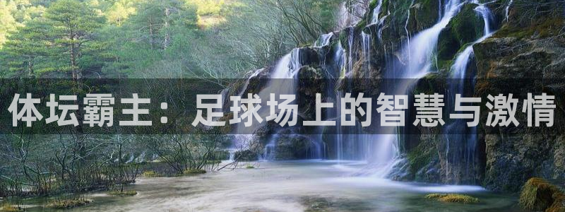 3377体育官方正版app集团E.ON：体坛霸主：足