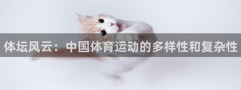 3377体育最厉害三个平台