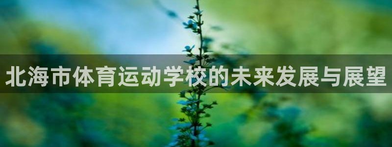 3377体育官网下载：北海市体育运动