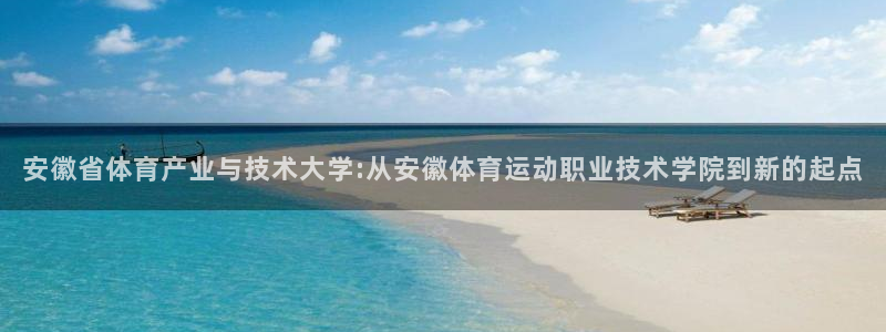  3377体育十大必吃榜：安徽省体育产业与技术大学:从安徽体育