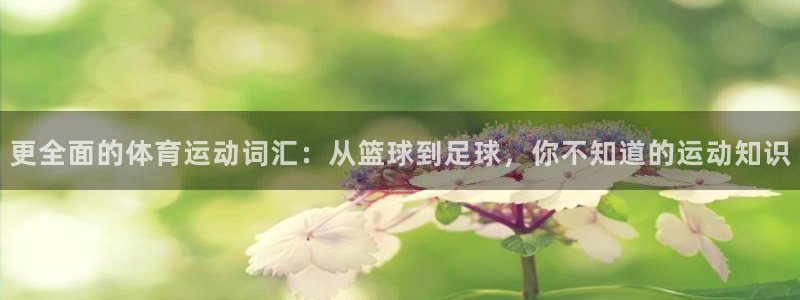 3377体育有风险吗：更全面的体育运动词汇：从篮球到足球，你