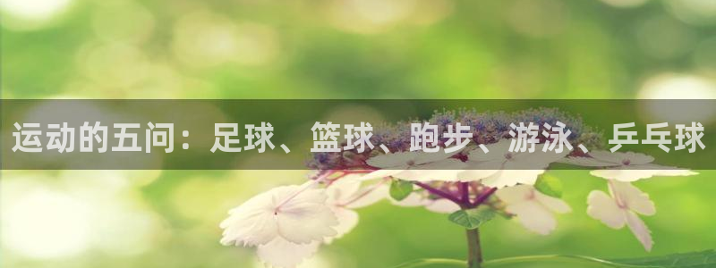 3377体育最厉害三个平台：运动的五