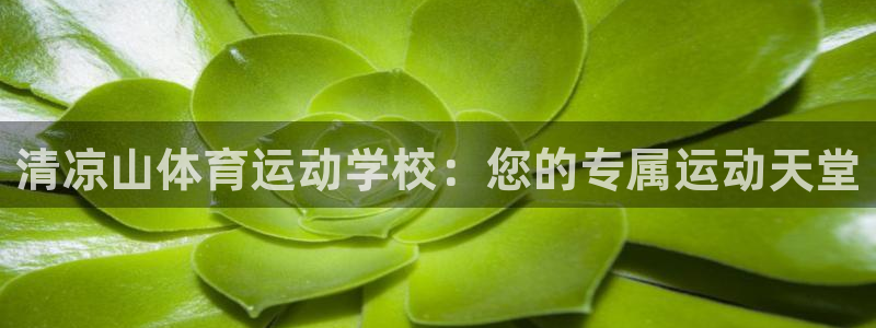  3377体育：清凉山体育运动学校：您的专属运动天堂