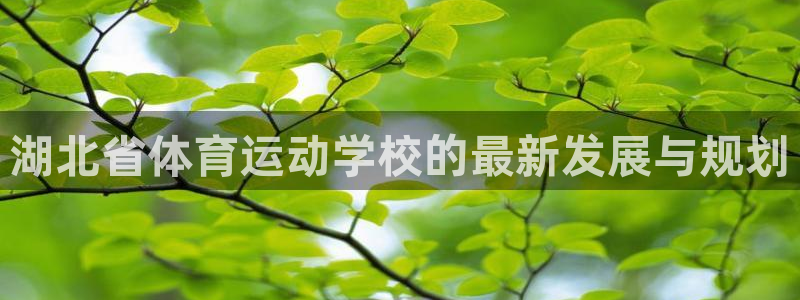  3377体育电子：湖北省体育运动学校的最新发展与规划