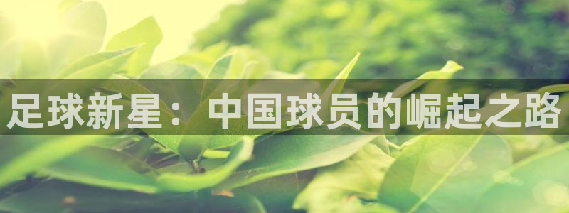  3377体育app官网下载地址：足球新星：中国球员的崛起之路