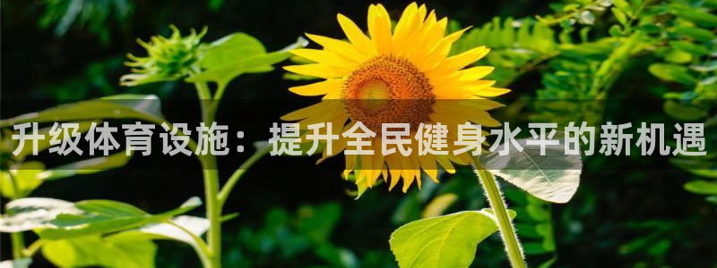 3377体育app官网下载地址：升级