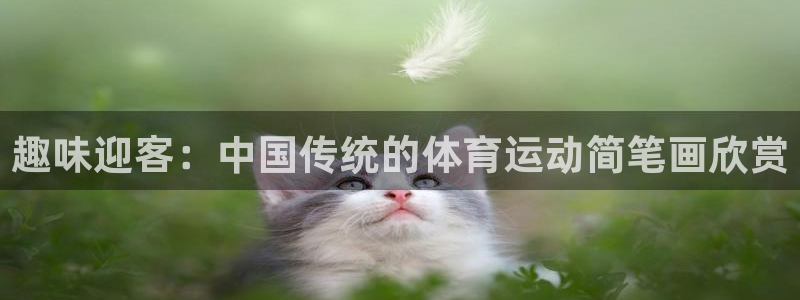 3377体育属于国家打击范围吗：趣味