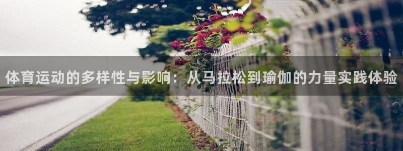 3377体育不出款：体育运动的多样性