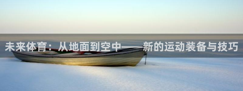  3377体育是正规平台吗还是黑金：未来体育：从地面到空中——