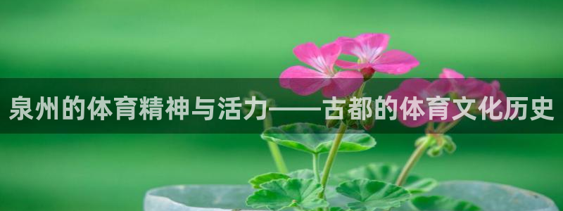  3377体育不出款：泉州的体育精神与活力——古都的体育文化历