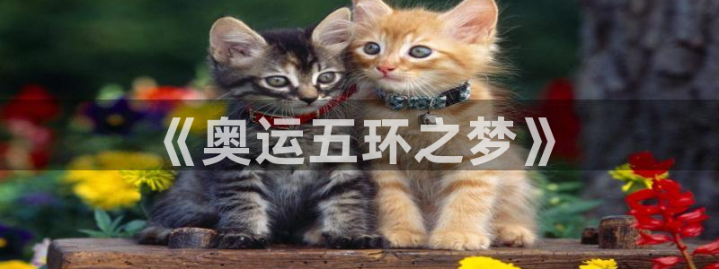 3377体育什么台子