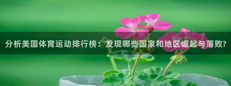 3377体育在线官网