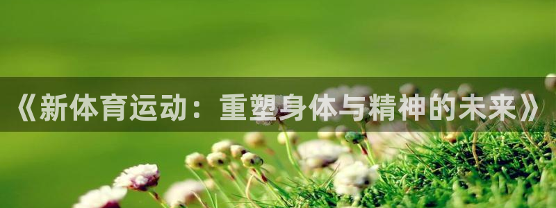 3377体育能爆吗
