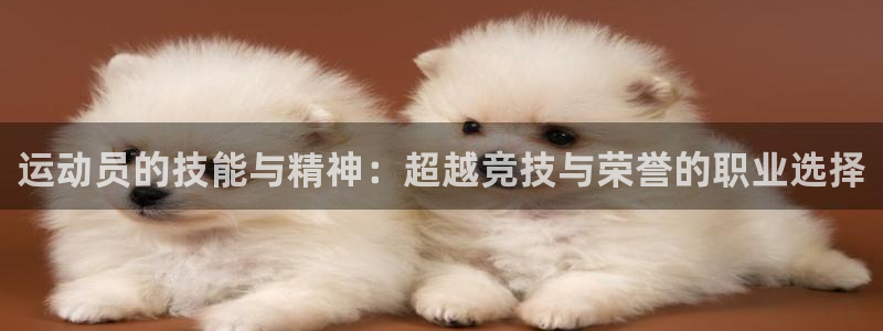 3377体育官方正版app集团官网首页网址：运动员的技能与精