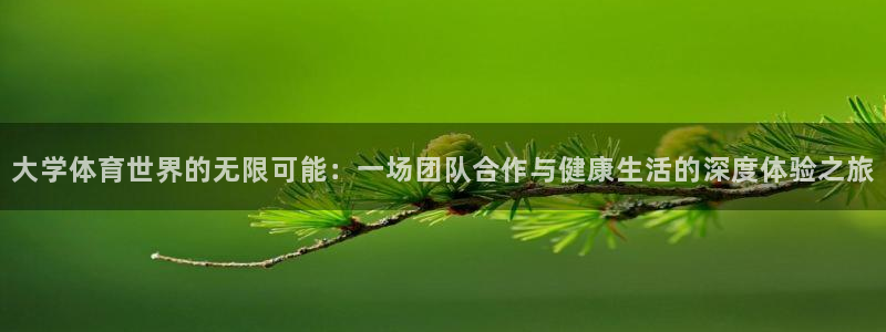 3377体育官网下载软件：大学体育世界的无限可能：一场团队合