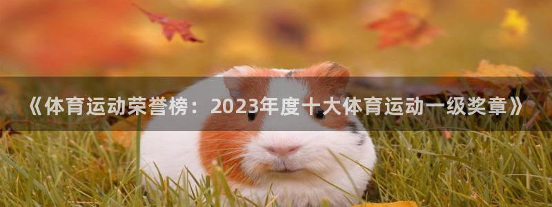 3377体育官方正版app集团E.ON